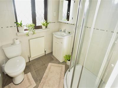 Picture 17
